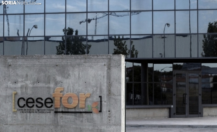 Cesefor participa en el proyecto ONEforest H2020 para una gestión forestal común