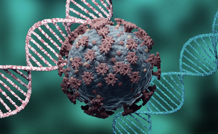 Un determinado análisis de sangre permite seguir la evolución de la infección por coronavirus