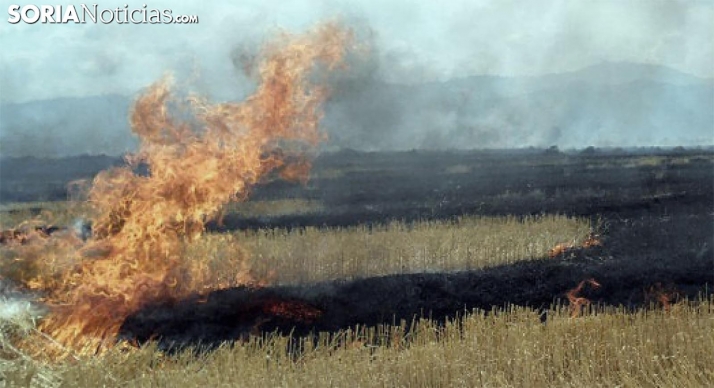 La Junta declara alerta de riesgo de incendios forestales por causas meteorológicas del 21 al 23 de julio en toda la región