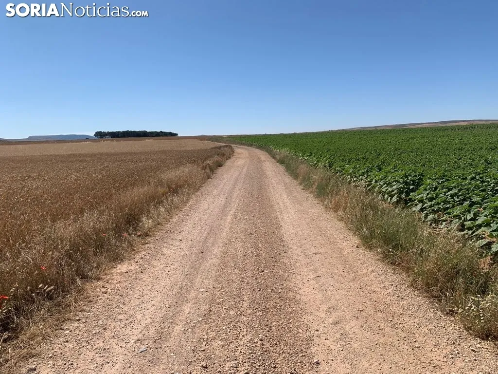 Imágenes de la ruta.