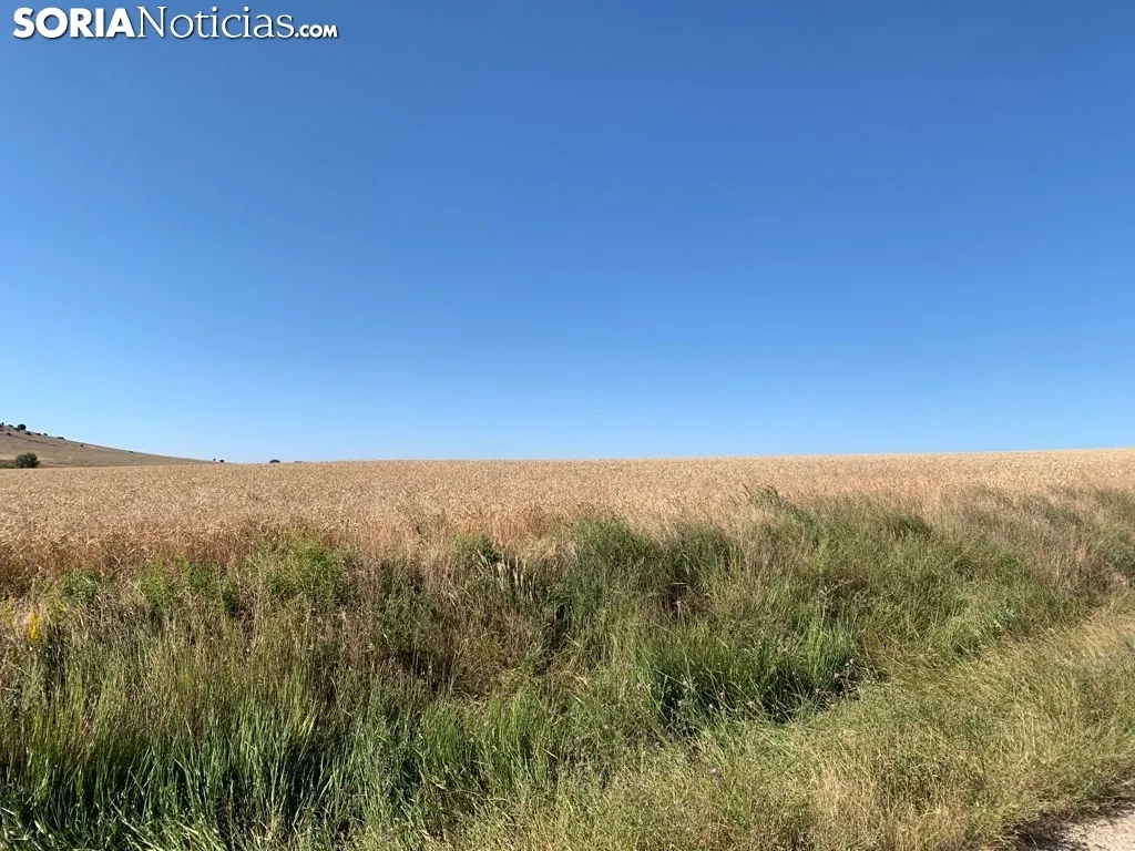 Imágenes de la ruta.