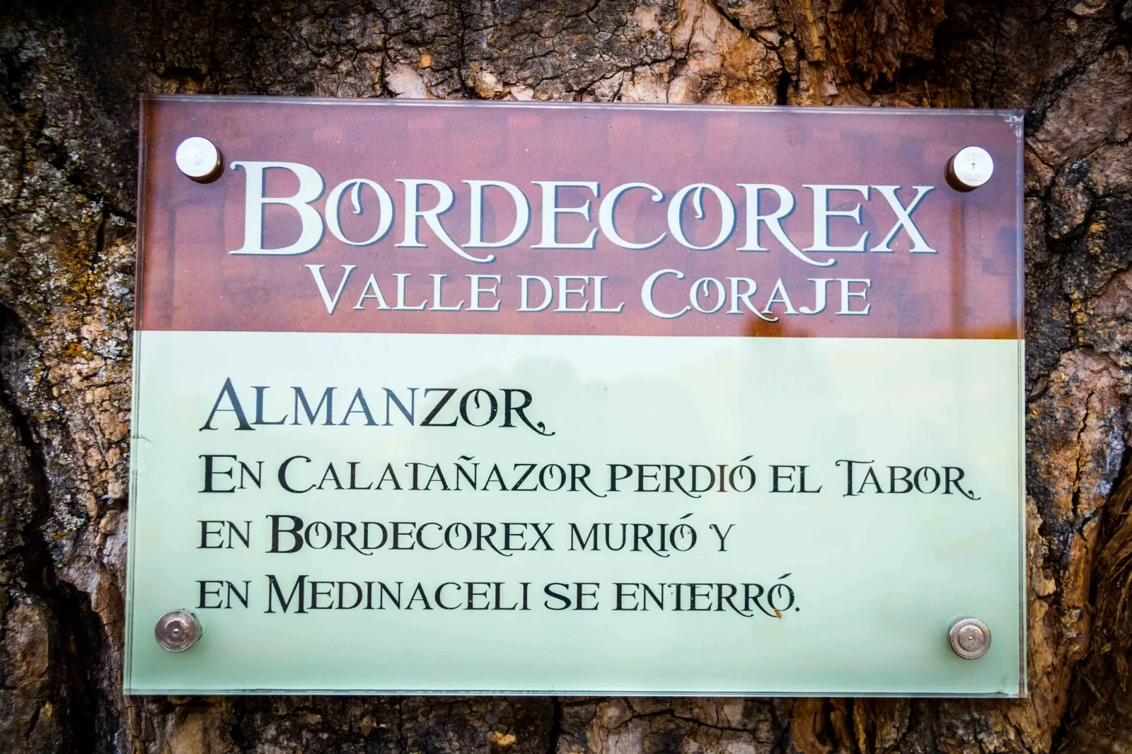 Foto 10 - Galer&iacute;a de la inauguraci&oacute;n del proyecto 'Acondicionamiento de Fuente Vieja y Entorno' en Bordecorex