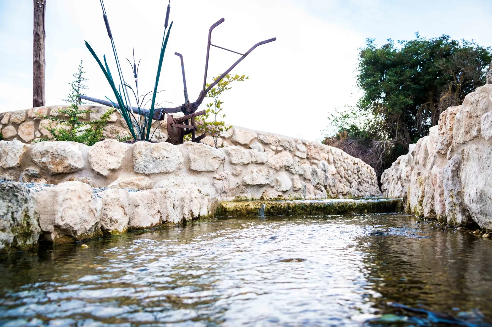 Foto 9 - Galer&iacute;a de la inauguraci&oacute;n del proyecto 'Acondicionamiento de Fuente Vieja y Entorno' en Bordecorex