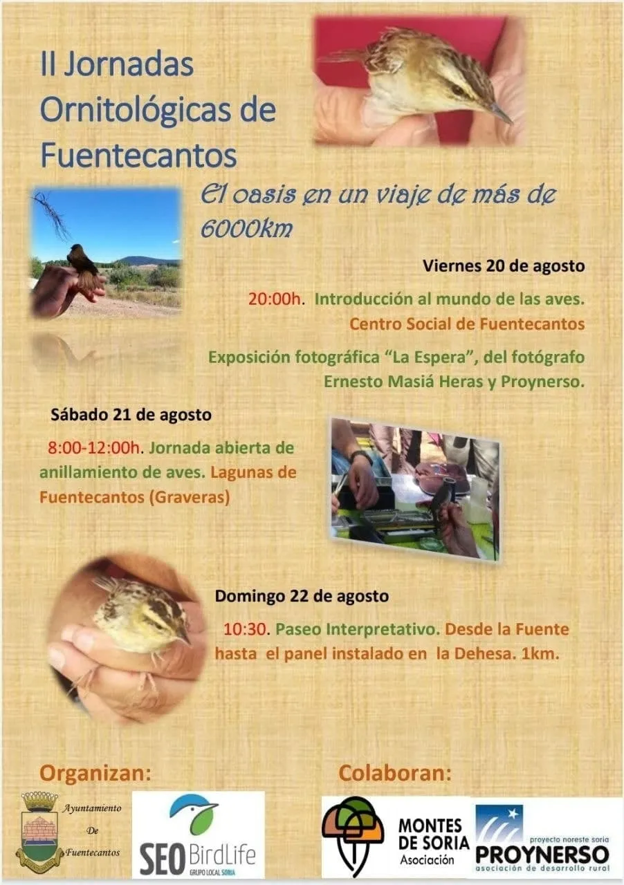 Cartel oficial de las jornadas. 