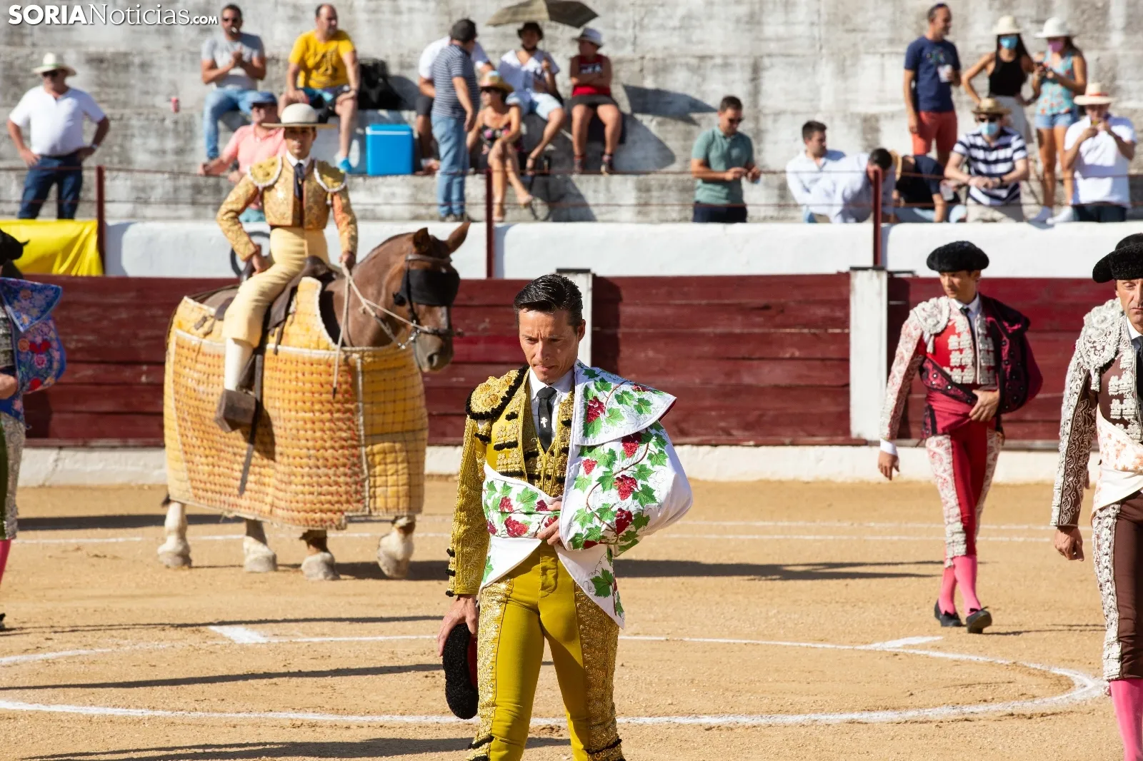Toros Almazán / María Ferrer