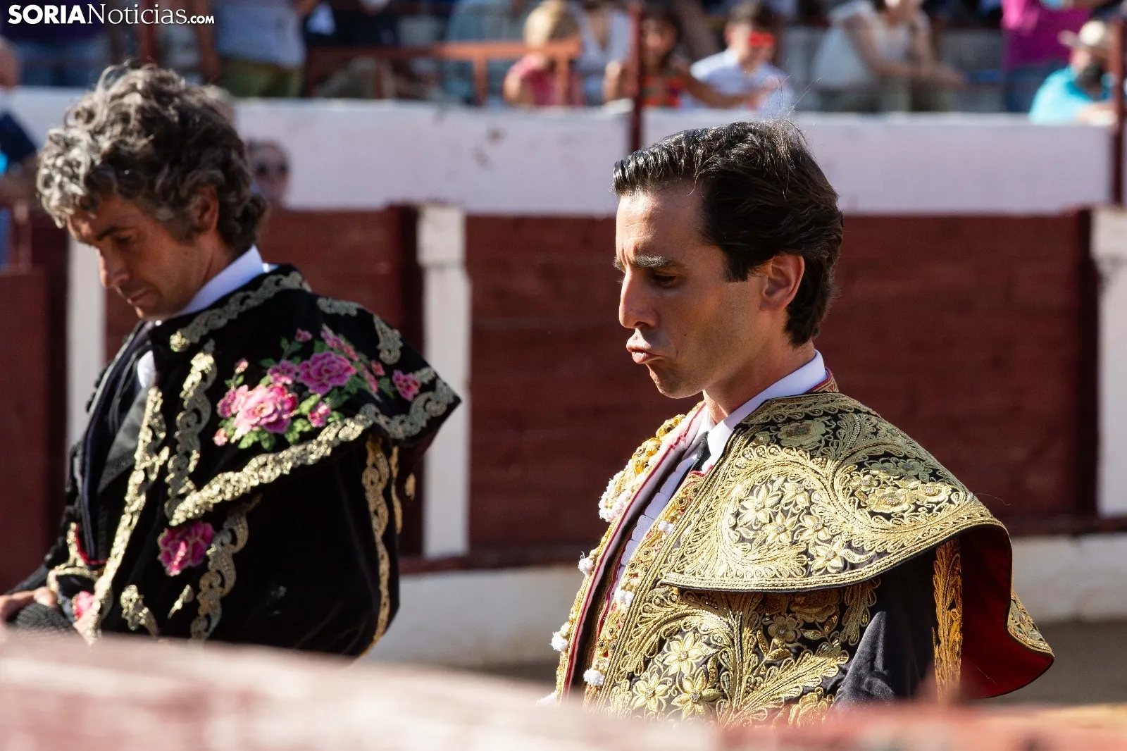 Toros Almazán / María Ferrer
