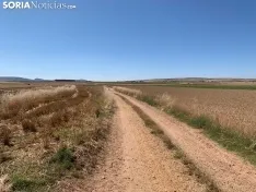 Imágenes de la ruta.