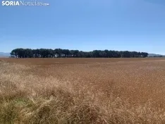 Imágenes de la ruta.