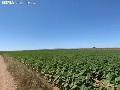Imágenes de la ruta.