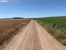 Imágenes de la ruta.