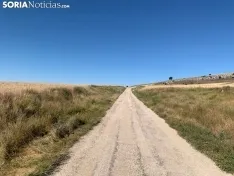 Imágenes de la ruta.