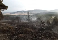 Una imagen del incendio. /BRIF