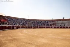 Toros Almazán / María Ferrer