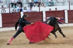 Toros Almazán / María Ferrer