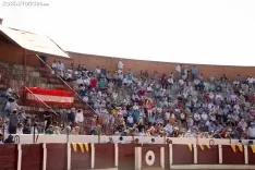 Toros Almazán / María Ferrer