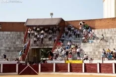 Toros Almazán / María Ferrer