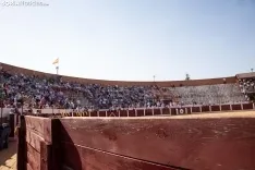 Toros Almazán / María Ferrer