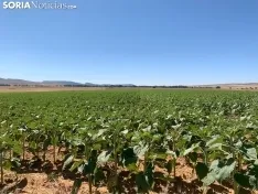 Imágenes de la ruta.