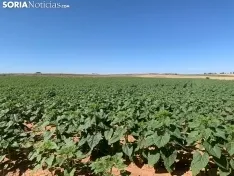 Imágenes de la ruta.