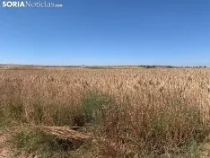 Imágenes de la ruta.