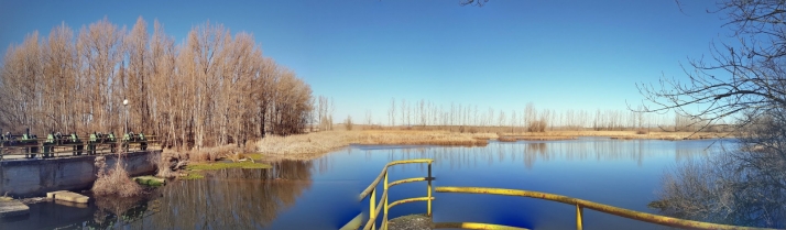 Cubo de la Solana albergará una plantación de arbolado como sumidero natural de carbono
