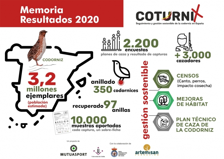 Los cazadores de Soria se vuelcan nuevamente con el proyecto ‘Coturnix’.