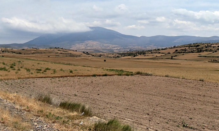 La Junta licita por 10,7 M&euro; infraestructuras para la zona de concentración parcelaria de Ágreda	