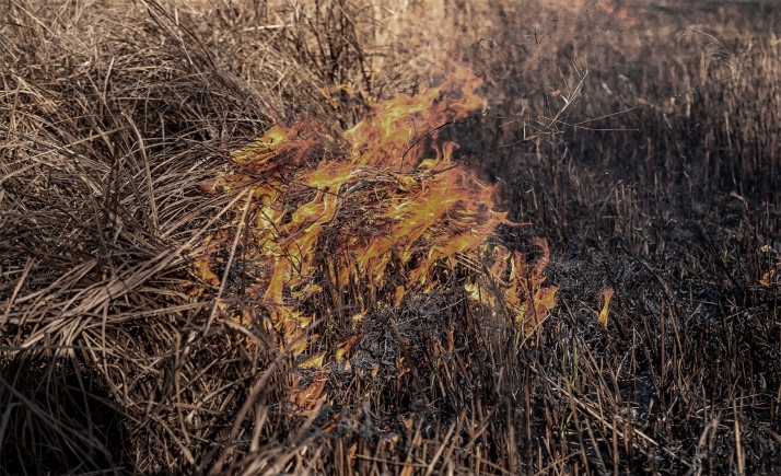 Arden cien metros en Castillejo de Robledo 