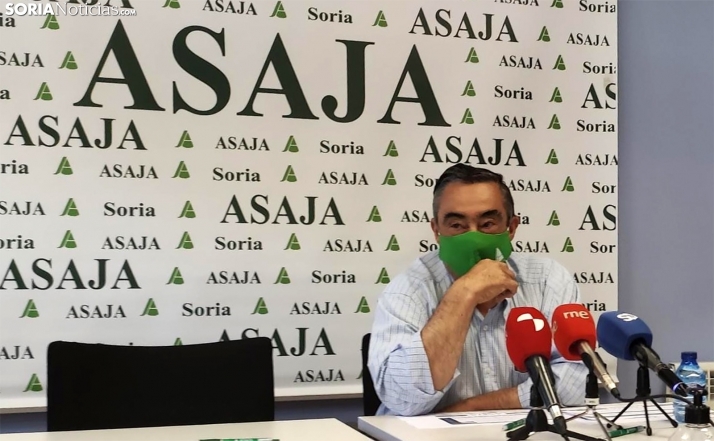 Soria obtiene una de sus mejores cosechas de cereal de los últimos 35 años