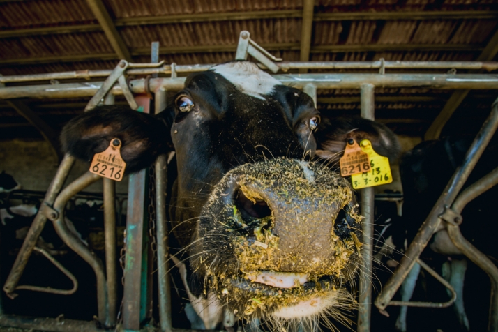 Castilla y León: 2,5M&euro; para el asesoramiento a explotaciones agrarias, forestales y pymes rurales en el año 2022