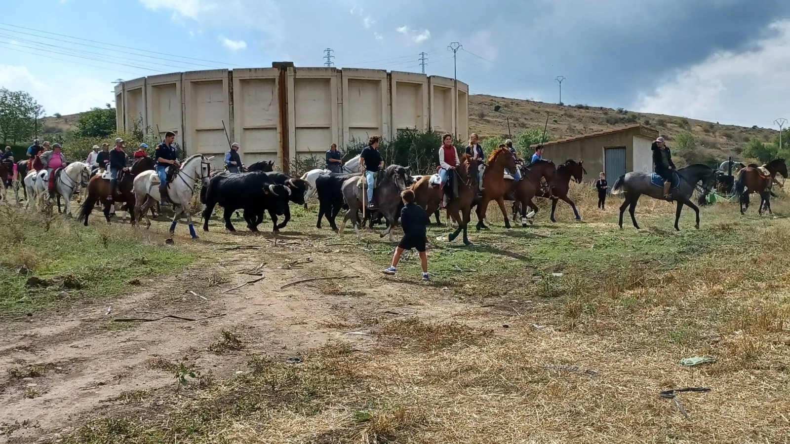Foto 10 - &Aacute;greda celebra su jornada trashumante 