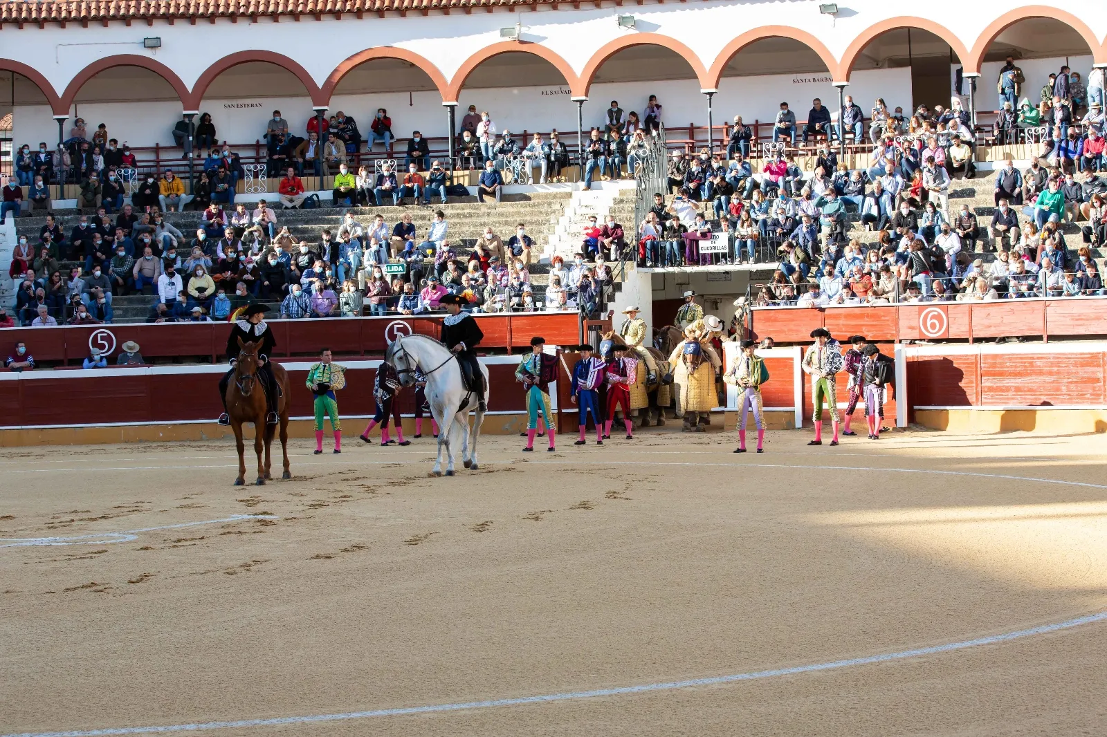  Corrida de Miuras en Soria / María Ferrer