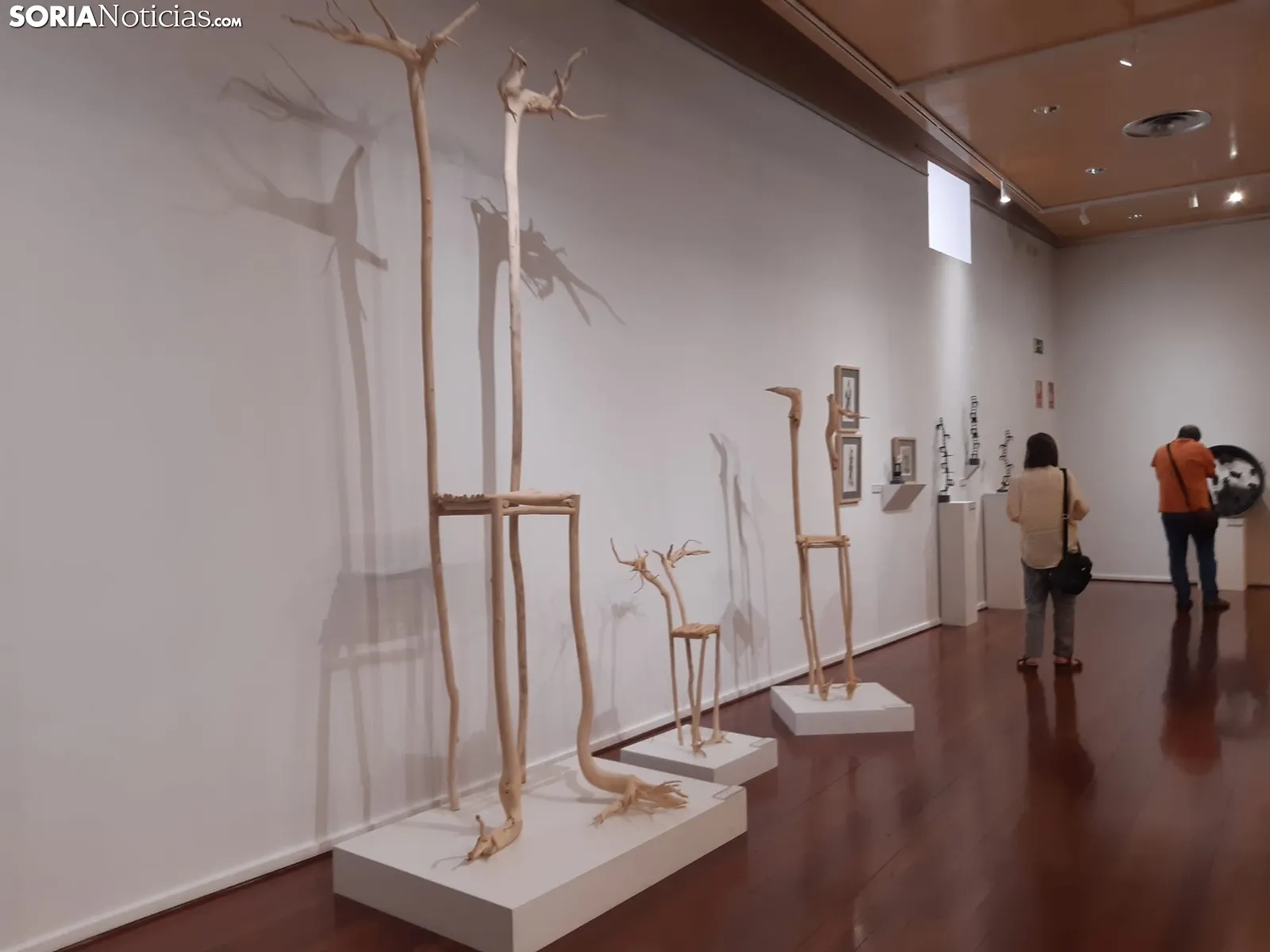 Exposición 'Declaración silenciosa', de Paz Santos.
