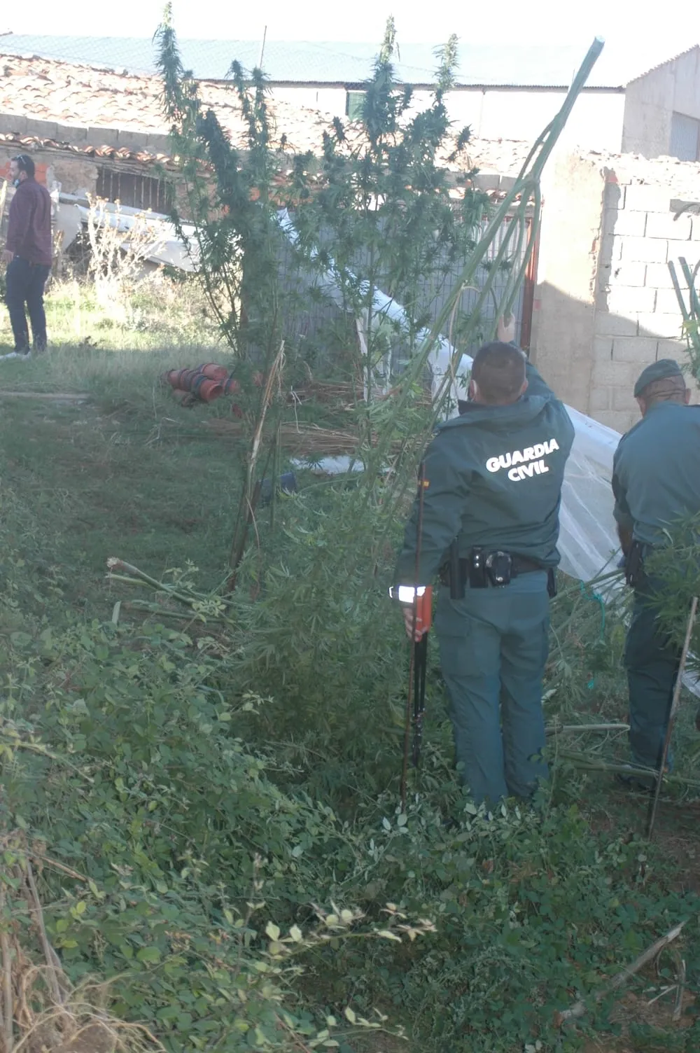 Operación de la Guardia Civil.