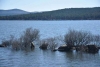 Foto 1 - El embalse de la Cuerda del Pozo se encuentra al 54,17%