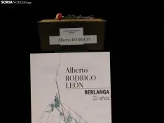 Una imagen de la jornada de reparación histórica. /SN