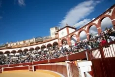  Corrida de Miuras en Soria / María Ferrer
