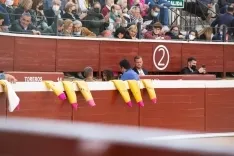  Corrida de Miuras en Soria / María Ferrer