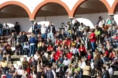  Corrida de Miuras en Soria / María Ferrer