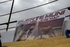 Concurso Nacional de Recortadores de Arcos de Jalón / María Ferrer