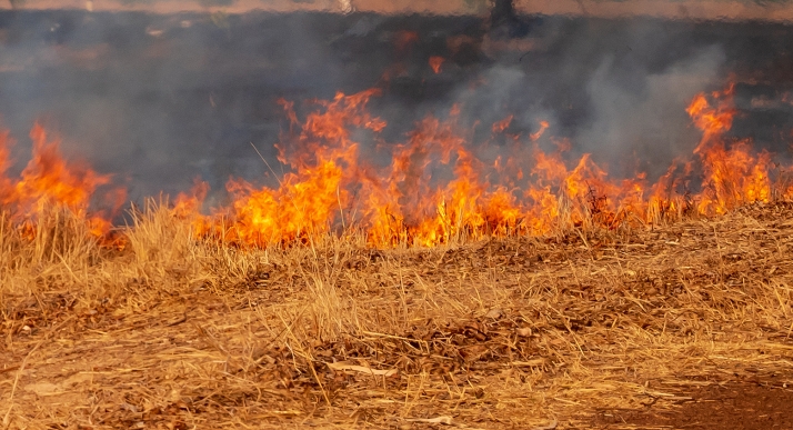 Dos pequeños incendios en Cabrejas del Pinar y en Villaverde del Monte