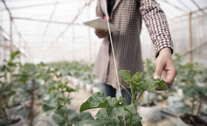 Las actuaciones previstas esta legislatura para agricultores, ganaderos e industria agroalimentaria, cumplidas al 92%