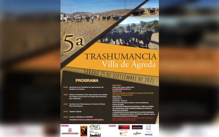 Vuelve la jornada trashumante a Ágreda