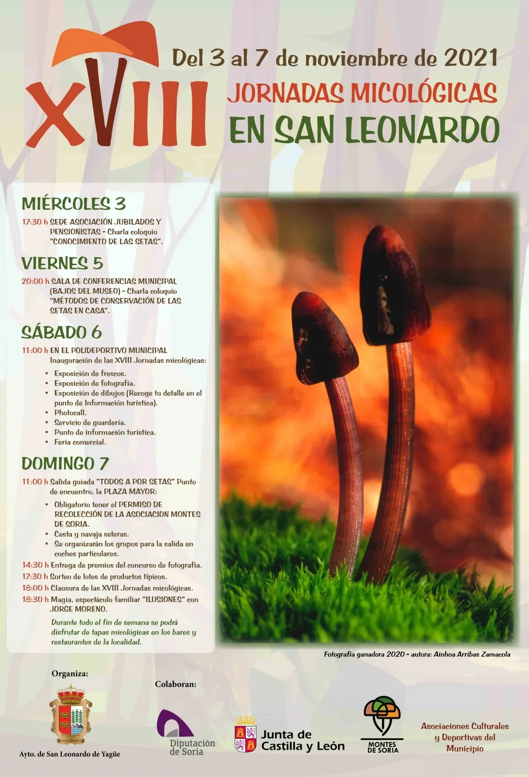 El cartel para esta edición.