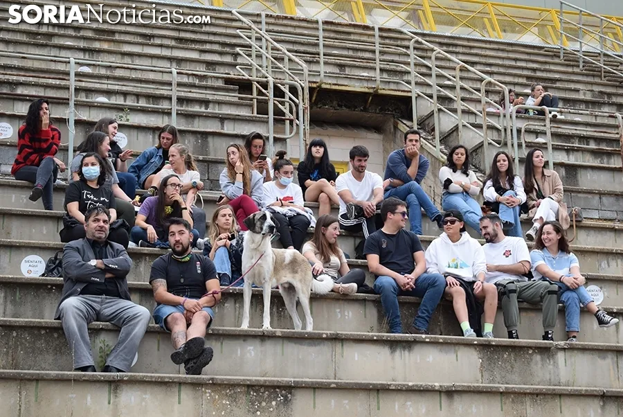 Foto 7 - Galer&iacute;a: los aficionados sorianos al rugby se reencuentran con su deporte y con su equipo, el Ingenieros Soria