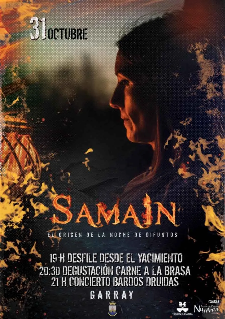 El cartel para esta edición. 
