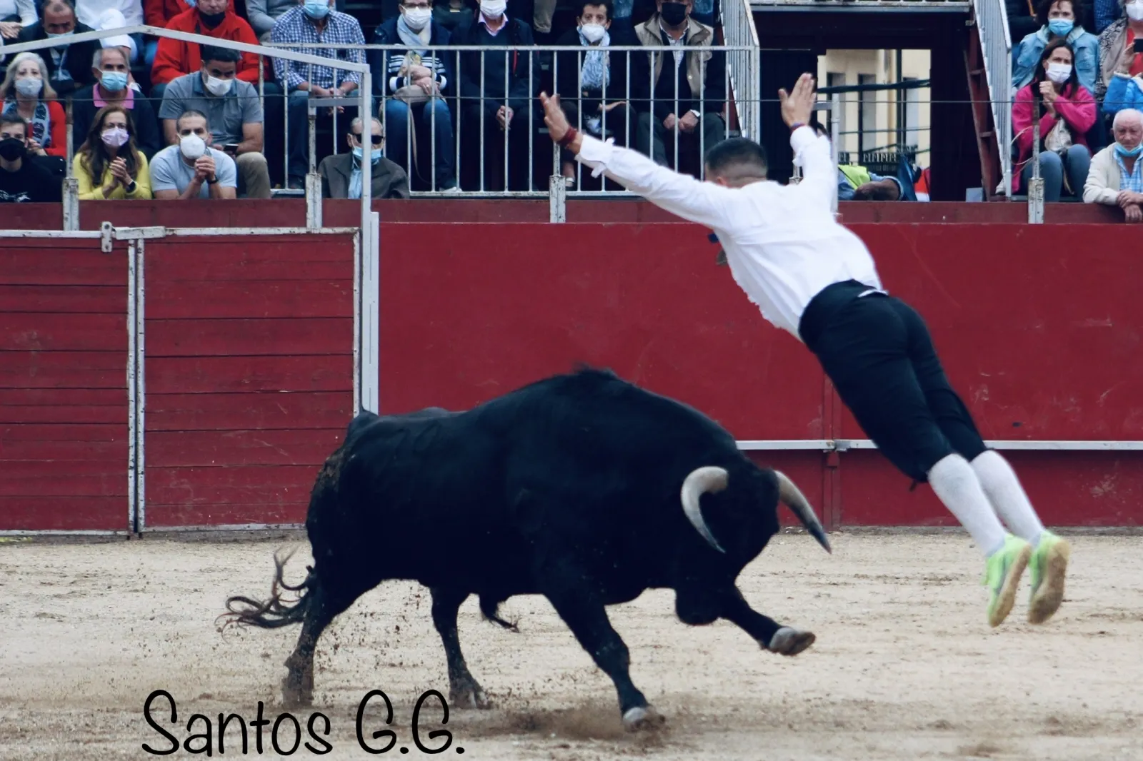 Foto 12 - Galer&iacute;a: sorprendentes e imposibles recortes en &Aacute;greda