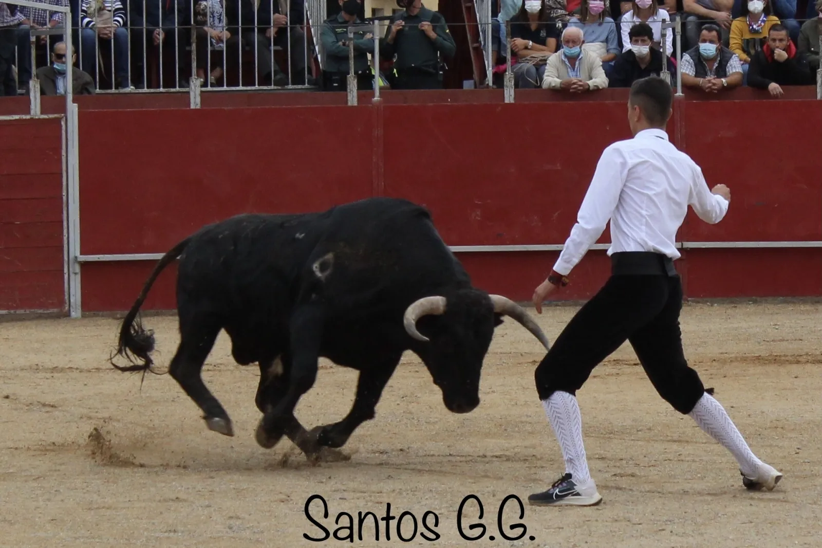 Foto 11 - Galer&iacute;a: sorprendentes e imposibles recortes en &Aacute;greda