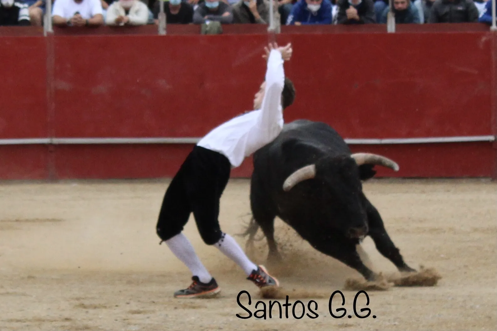 Foto 10 - Galer&iacute;a: sorprendentes e imposibles recortes en &Aacute;greda