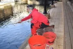 Foto 5 - Galer&iacute;a de im&aacute;genes: Fernando Ba&ntilde;uelos gana el concurso de pesca de cipr&iacute;nidos de San Saturio